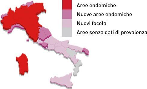 SINTOMATOLOGIA Presenza di filariosi cardio polmonare in Italia dopo il 1998 Evoluzione della presenza di filaria cardio polmonare in Europa Cane La malattia evolve in modo del tutto asintomatico