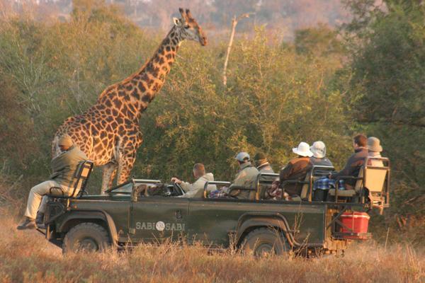 Questo è anche il Big Game Country, l'ambientazione di dozzine di santuari brulicanti di animali selvatici e uccelli.