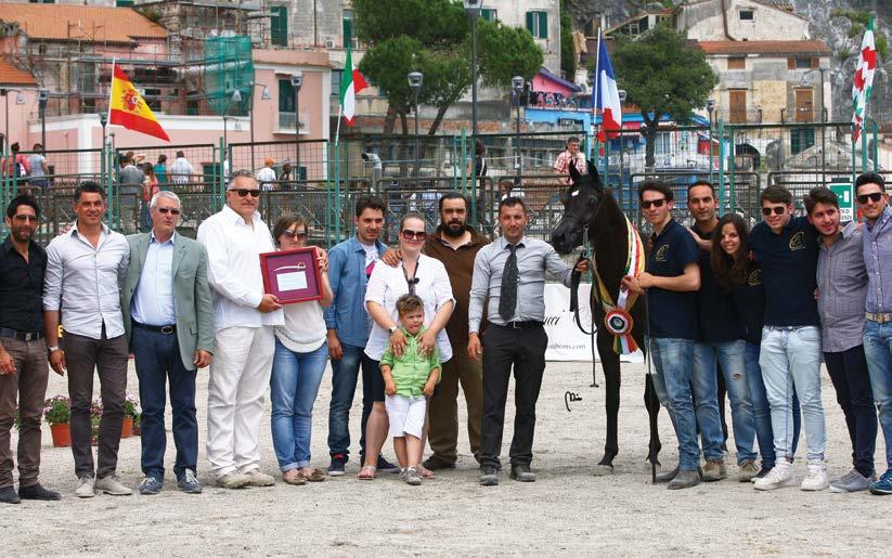 Serene Galila - O&B: CONTI SALVATORE BEST IN SHOW CFL ESTELLE ROYAL COLOURS X