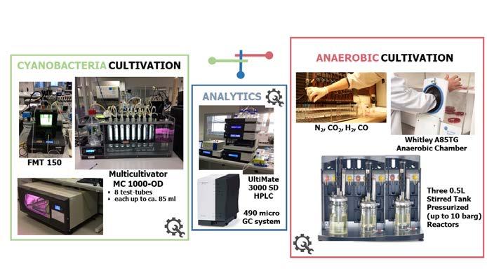 Attrezzature Ri-utilizzo di CO2: Banche per la coltivazione modulare e di alta precisione