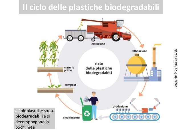 biodegradata dopo un