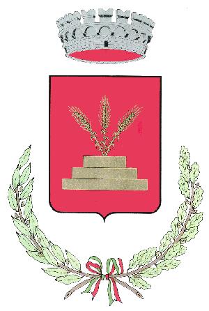 COMUNE DI GRADARA Provincia di Pesaro-Urbino COPIA DI DELIBERAZIONE DEL CONSIGLIO COMUNALE Atto N.