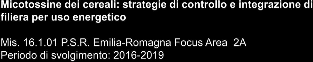 Partner leader: C.R.P.V Centro Ricerche Produzioni Vegetali (Cesena) Imprese agricole O.P. Grandi Colture Italiane (Ferrara) Azienda Agraria Sperimentale Stuard (Parma) Ricerca UCSC - Università Cattolica Sacro Cuore (Piacenza) Di.