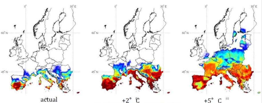 climatico