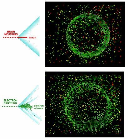 5 MeV, p e > 570 kev) Il cono di luce emessa (ring) viene rivelato da un array di PMT In questa maniera è possibile ricostruire la distribuzione di carica e la distribuzione temporale