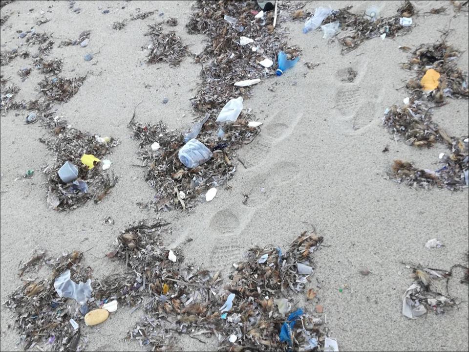 Concludendo Il numero di rifiuti spiaggiati maggiore è stato riscontrato nei litorali del versante tirrenico (16.986 rifiuti - 2015-2018), rispetto a quello ionico (6297 rifiuti 2015-2018).