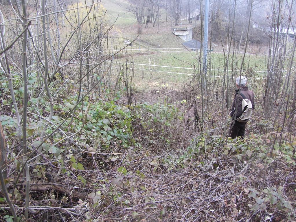 Foto 2: vista dell area della vasca di carico Come si denota dalle due fotografie, la vegetazione che verrà eliminata è riferibile a alberelli e arbusti, frutto dell abbandono della zona che era