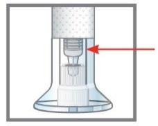 Quando smaltisce la penna e il contenitore per materiali taglienti: Non ricicli il contenitore per materiali taglienti.