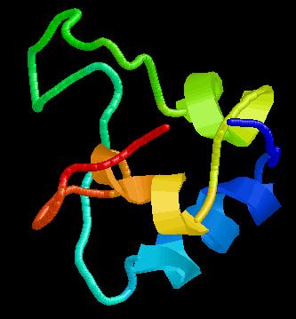 Insulin-like Growth Factors (IGFs) Rappresentano il fattore di crescita più abbondante tra quelli prodotti dagli osteoblasti: IGF-I e l IGF-II sono i membri più importanti della famiglia IGF-I è