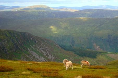 Mann prima di scendere nella valle di Glenmalure, la nostra pittoresca meta.