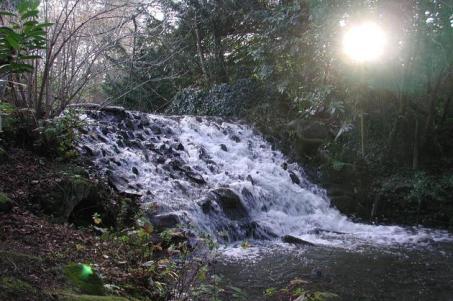 Da questo punto sarà tutto in discesa fino a raggiungere la bellissima tenuta georgiana del Marlay Park, dove finisce la Wicklow Way.