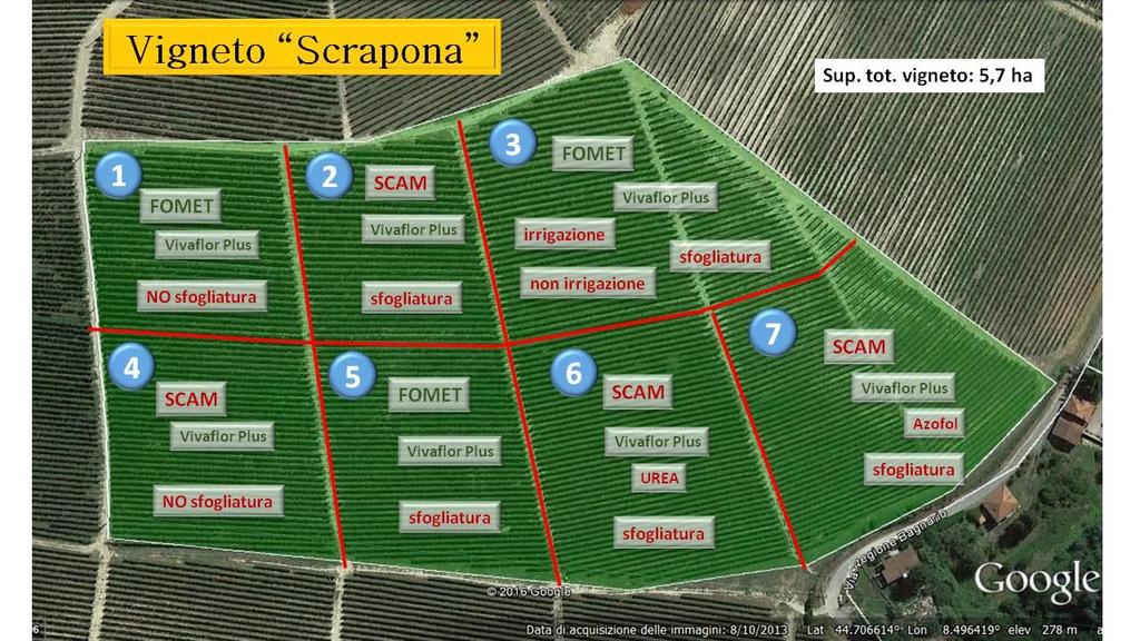 Sperimentazione: impiego di diverse tecniche colturali al fine di