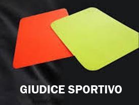 PROVVEDIMENTI DISCPLINARI GIUDICE SPORTIVO REGIONALE PROVVEDIMENTI DEL 25/05/2018 1. Gara n.