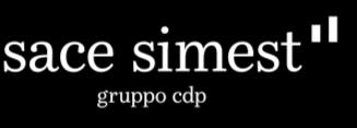 Partecipazione al capitale Partecipazione in compagnie non-ue: la combinazione degli strumenti PARTNER ITALIANO 51% EQUITY TARGET COMPANY STRANIERA fino a 49% EQUITY 1 2 partecipazione diretta SIMEST