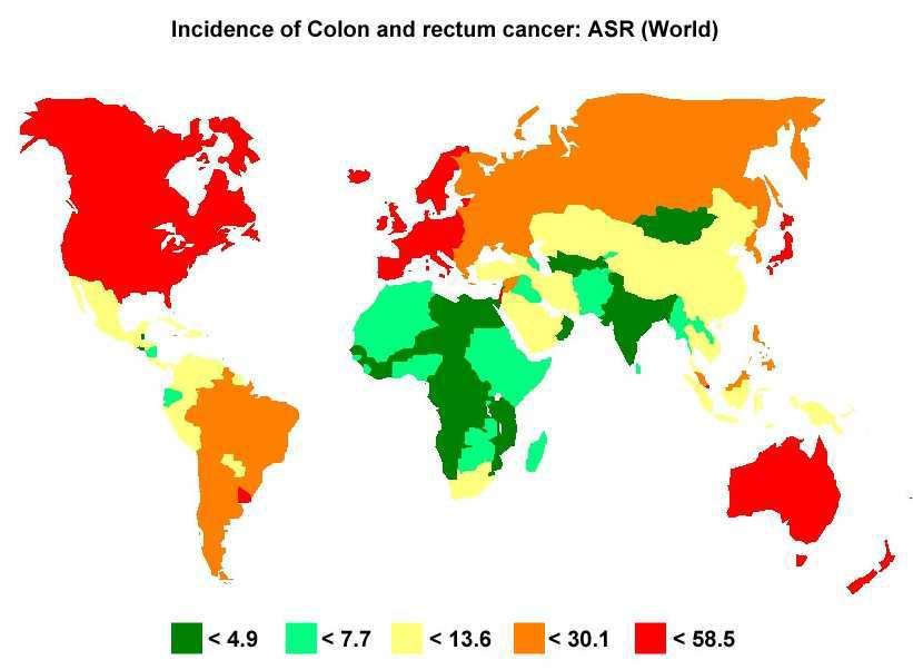 Tumore del colon-retto Epidemiologia: seconda causa di morte per neoplasia nell uomo (dopo il polmone) e la