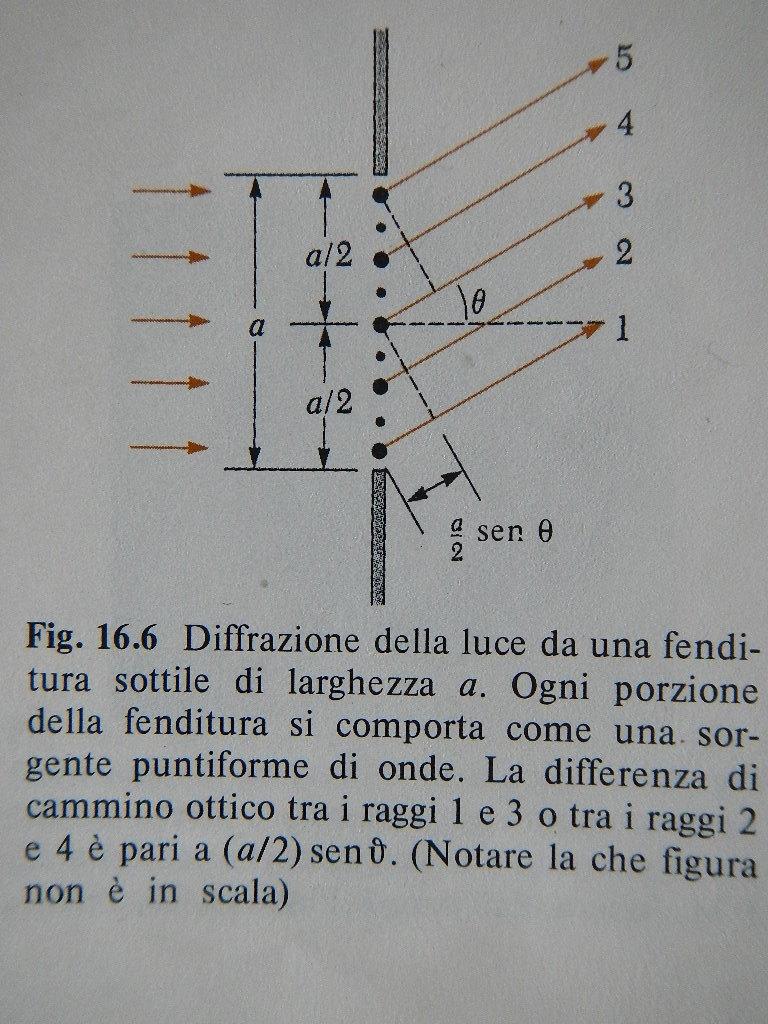 Diffrazione di Fraunhofer prodotta da una fenditura singola. Secondo il principio di Huygens, ogni porzione della fenditura si comporta come una sorgente d onde.