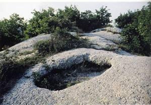 IL TERRITORIO Il Parco si trova sulle prime pendici collinari, alle porte di Bologna Le quote altimetriche toccano al massimo i 400 m slm,, sui colli di Settefonti e Montecalvo.