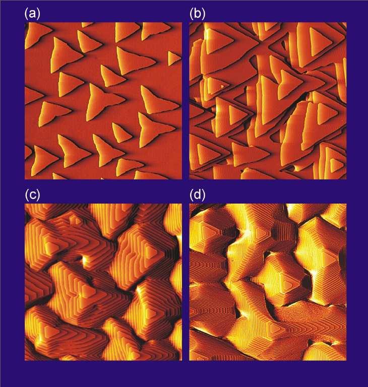 dinamica dei processi di crescita un esempio statistica dei processi di { tasso di nucleazione? distribuzione delle isole?