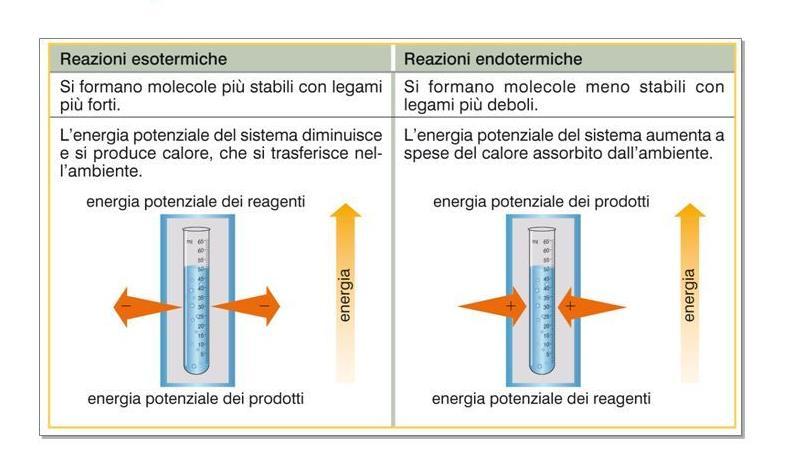 Processi