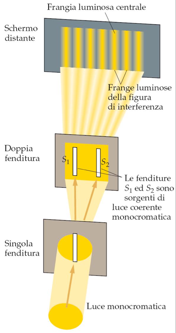 2. L esperimento della doppia fenditura di Young Se la luce fosse composta da particelle, sullo schermo finale apparirebbero due strisce sottili, una per fenditura.