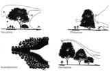 difficili da valutare ma si possono utilizzare a modello le linee guida dedotte dai diversi studi effettuati sul