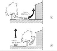 quantità di polvere trattenuta dalle foglie per diverse essenza urbane PRODUZIONE DI BIOMASSA la vegetazione produce una elevata quantità di: biomassa (utilizzabile per compostaggio, combustione,