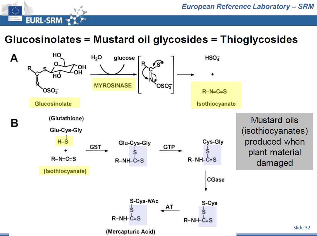 Ditiocarbammati Joint