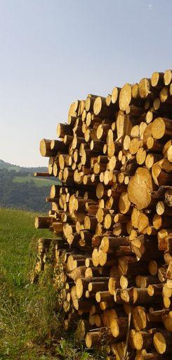 Misure PSR 2007-2013 associate alla produzione di biomasse (B) o alla mobilizzazione del legno (WM) (Fonte: Ns. elaborazione da CE, 2009)!"#$%&' *+',-./012134-' &.-561'-'437-'!"!# $%%&'()*+%(*,&#'(--(#+.