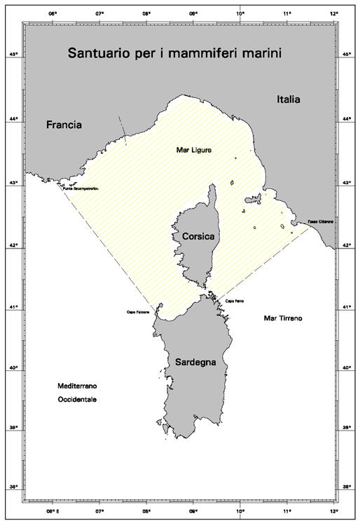 MEDITERRANEO OCCIDENTALE 20.41-8-X-2002 Santuario per mammiferi marini - Area protetta Un Accordo tra Italia, Francia e Principato di Monaco stipulato a Roma nel 1999 e la Legge n.