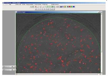 sistemi di analisi di immagine: PTS DOMAS o Techpap SIMPALAB 