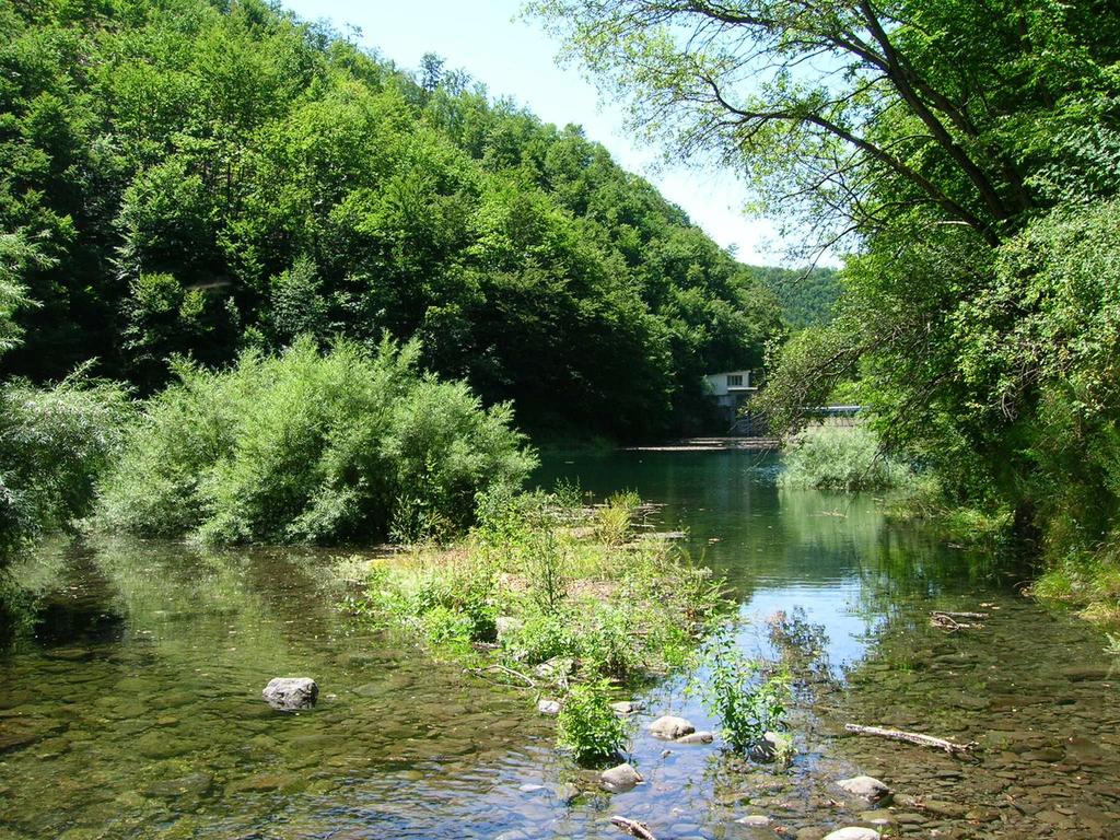 Parco delle Cinque Terre Ottobre 2018 L Agricoltore Custode Il ruolo delle aziende agricole nella tutela idrogeologica dei