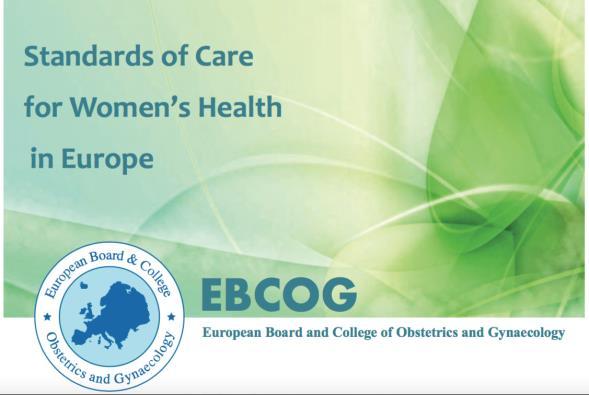 2014 EBCOG Board and College Europeo di Ostetricia e Ginecologia, che rappresenta le Società Nazionali di Ginecologia e Ostetricia di 36 Paesi Europei presenta al Parlamento Europeo i documenti