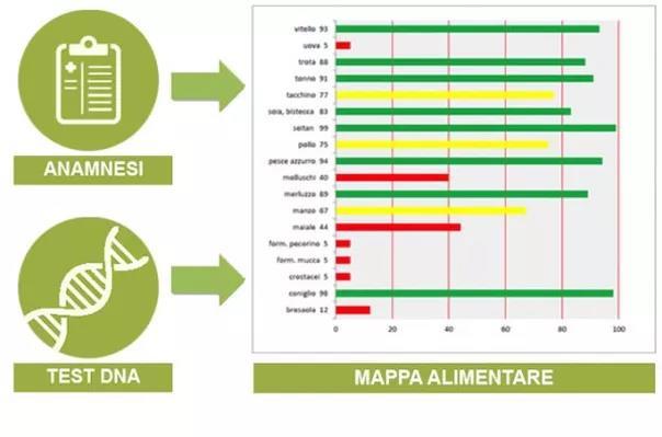 LA MAPPA ALIMENTARE È UNO STRUMENTO INNOVATIVO DI NUTRIGENETICA BASATO SULLE PIÙ RECENTI SCOPERTE IN AMBITO SCIENTIFICO PER PERSONALIZZARE L ALIMENTAZIONE E OTTENERE DAL CIBO SOLO I BENEFICI PER LA