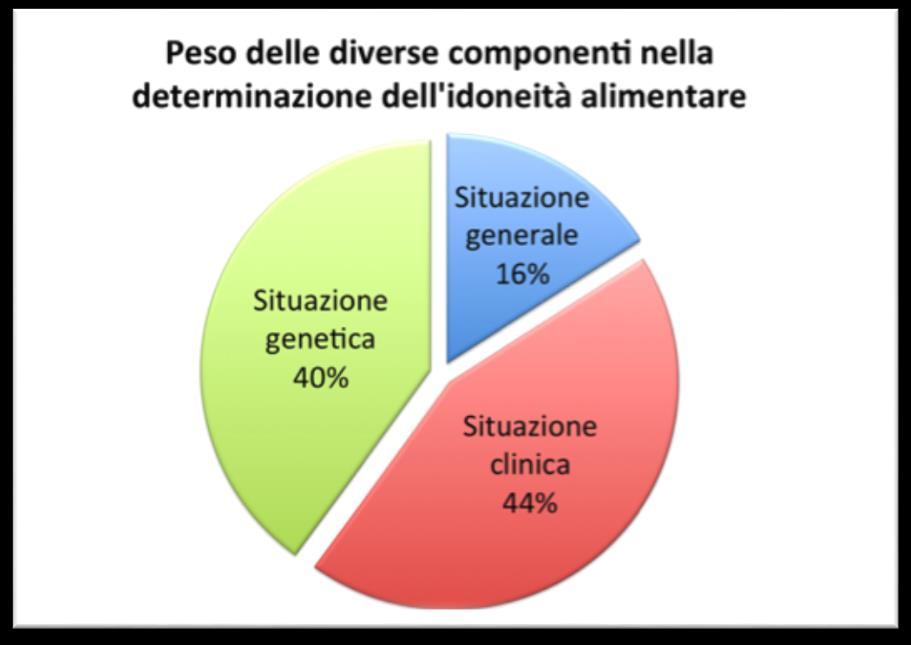 Il quadro della persona può essere schematizzato in 3 gruppi di problematiche e caratteristiche: SITUAZIONE GENERALE: età, sesso, gruppo sanguigno, circonferenza addome, BMI SITUAZIONE CLINICA: