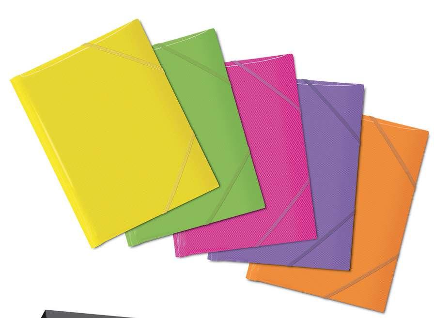 RACCOGLITORE ARCHIVIO 5 CARTELLE 5 colori neon