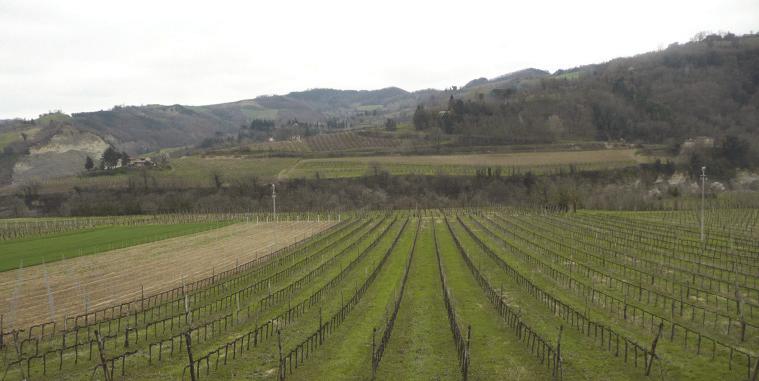 assolutamente coerente con il paesaggio nel quale si inserisce, gli edifici connessi al Giardino