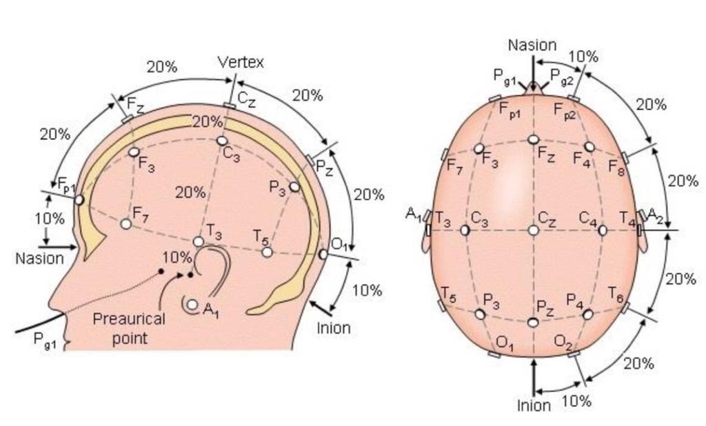 La disposizione degli elettrodi sullo scalpo è regolata dal sistema internazionale 10/20, una standardizzazione definita alla fine degli anni '40.