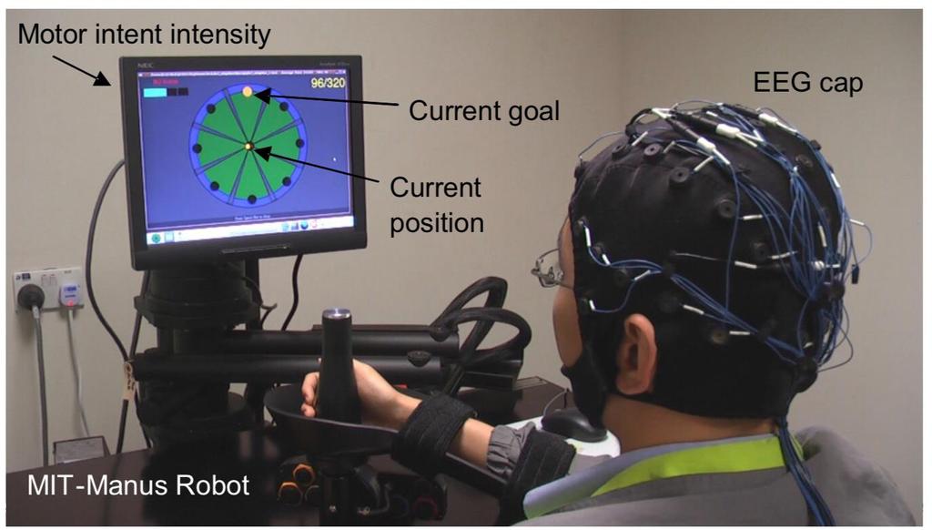 Figura 3.3. Device di output robotico accoppiato con una EEG-BCI non invasiva basata su MI.
