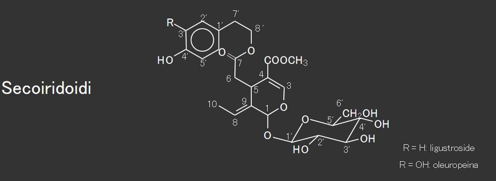 Biofenoli secoiridoidi presenti