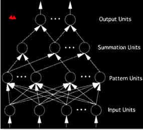 L algoritmo genetico è un metodo di computazione ed ottimizzazione dei dati ispirato al processo evolutivo darwiniano.