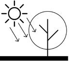 Il modello permette di valutare le condizioni e le PERCHÈ USARE ITREE ITREE è un software dell USDA Forest Service che calcola i servizi ecosistemici degli alberi forniti alla città.