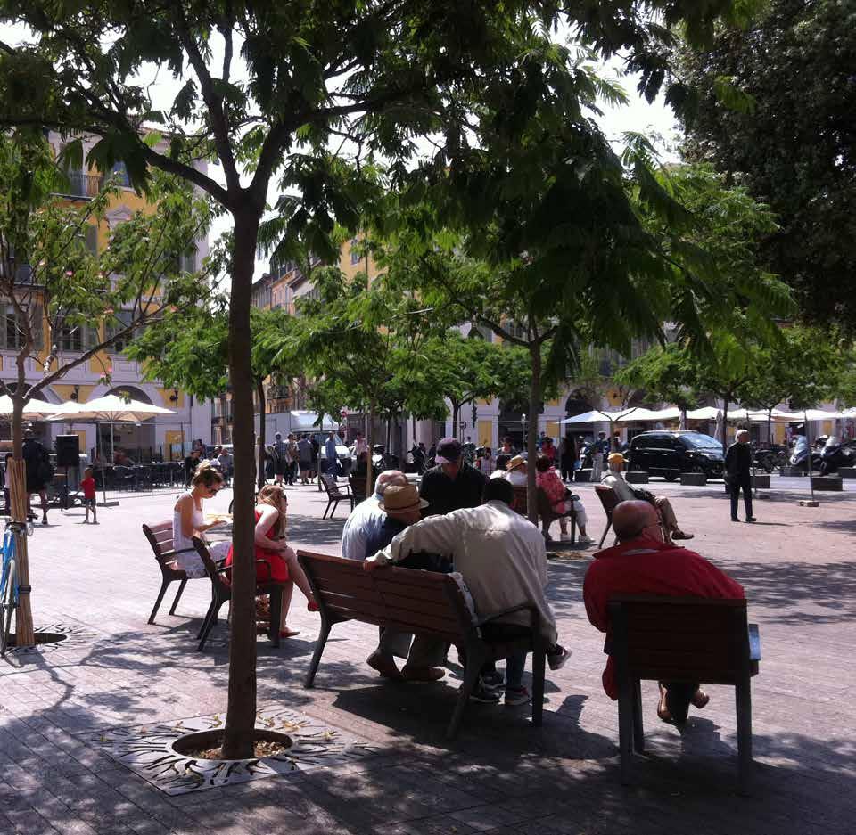 ALBERI OMBRA ED EVAPOTRASPIRAZIONE PER IL COMFORT URBANO Gli alberi creano una bolla di penombra