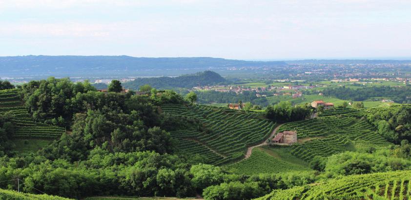 3 GIORNI DI EVENTI + NOTTE BIANCA DEL CIBO VENETO PRODOTTI TIPICI