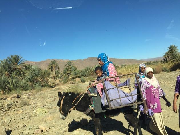 31 Dicembre: N kob Tagounite Dopo Colazioni percorreremo la strada che costeggia per chilometri la meravigliosa Valle del Draa.