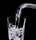 Utilizzo dell acqua potabile 49 Beve l acqua del rubinetto regolarmente, qualche volta o non la beve mai?