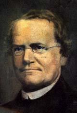 Gregor Mendel (1822-1884) Propose per primo, nel 1865, il