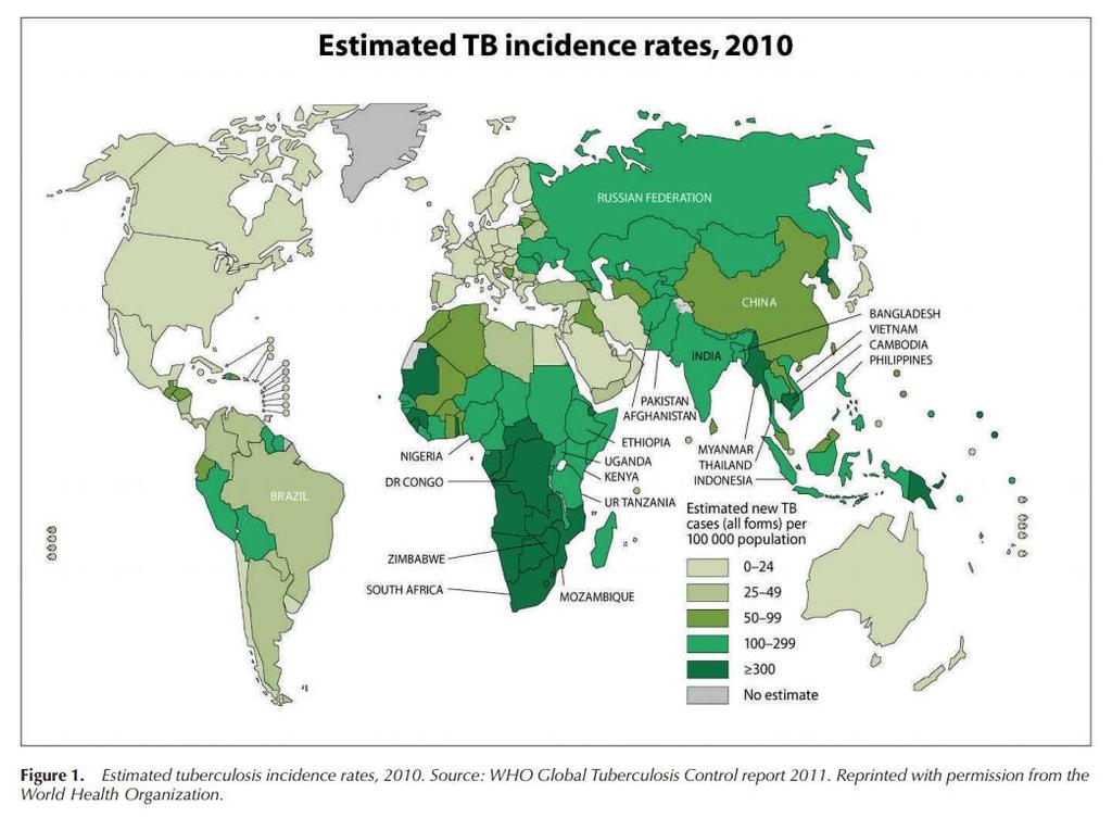 Epidemiologia Le infezioni causate da Mycobacterium tuberculosis complex rappresentano uno dei più importanti argomenti di salute pubblica mondiale: prevalenza: 14 milioni di casi di TB incidenza: 9.