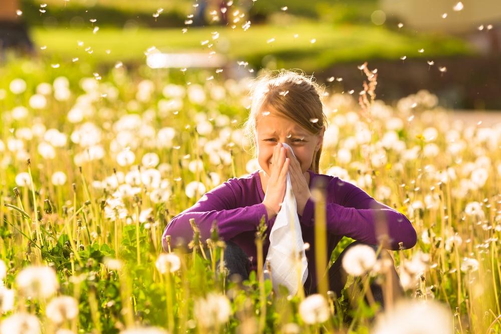 Esempi di impatti: salute Variazione della stagione pollinica Le allergie si posizionano ai primi posti come