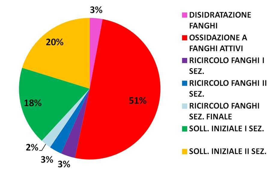 Il sistema di aerazione Negli impianti a fanghi attivi i costi energetici rappresentano un aliquota importante dei costi totali di esercizio (in aumento) Ripartizione dei consumi energetici di un