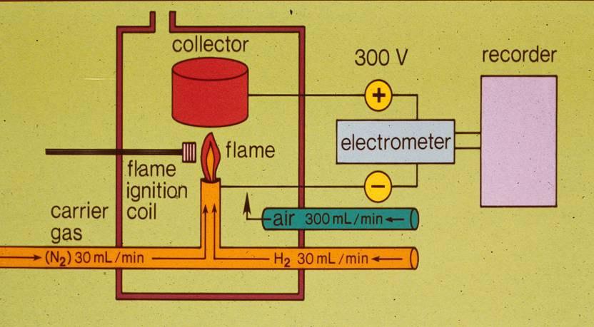 Flame Ionization